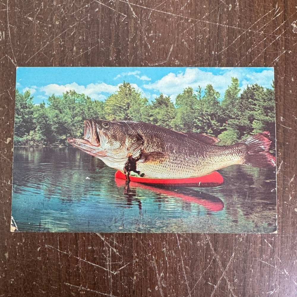 VINTAGE Plastichrome Postcard The One that Got Away Bass fishing fisherman humor